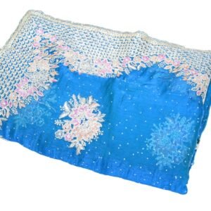 Celestial Azure Fancy Fabric Saree